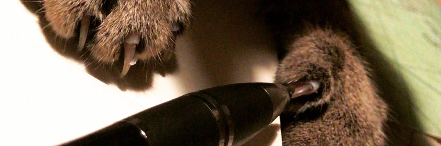 Platzlurch's profile banner image
