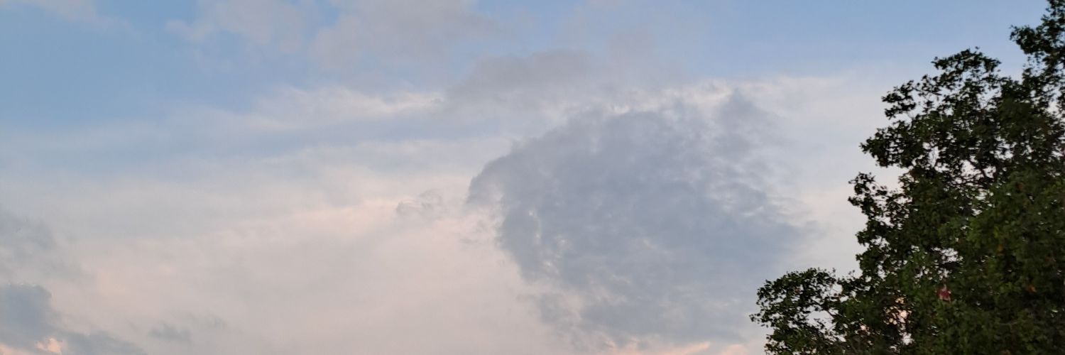 apakekau's profile banner image