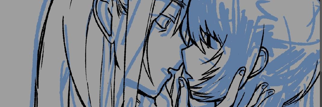 haiden banner