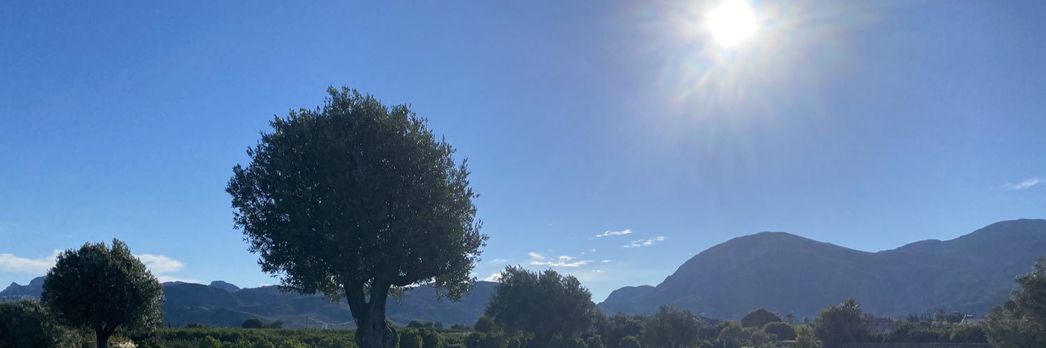 ErikaBodor's profile banner image
