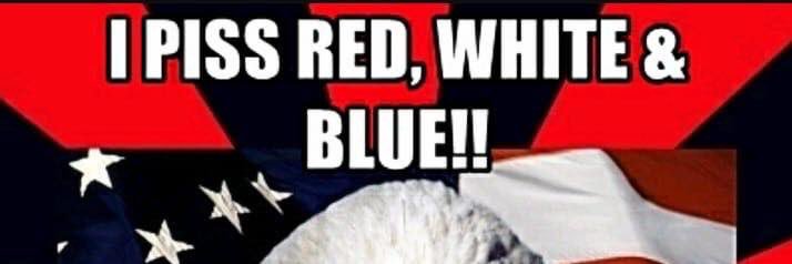 DV8ingPower 🇺🇸🍌 banner