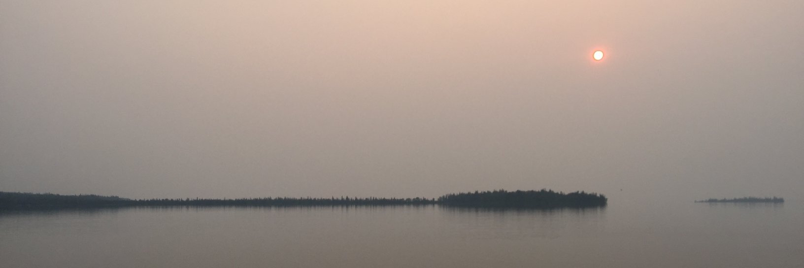 tangoecho's profile banner image