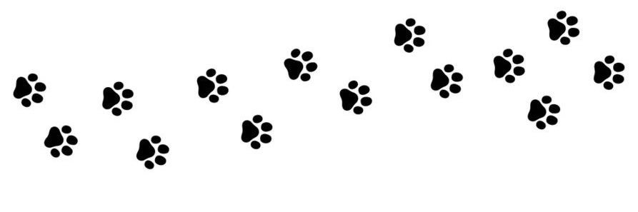 🐾 Cherry banner