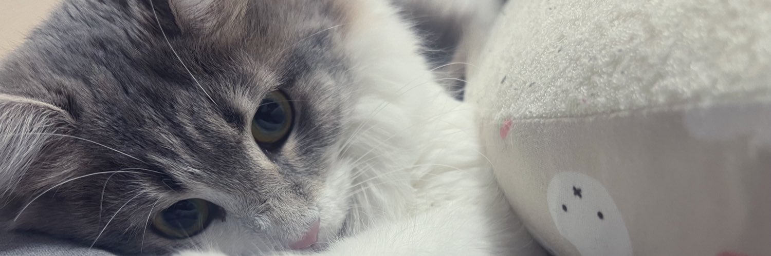 ｳｻｷﾞ🎀☺︎38w banner