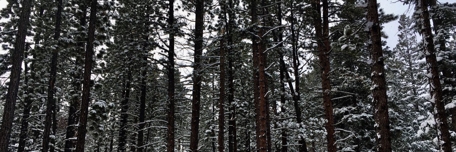 MeganTallon's profile banner image