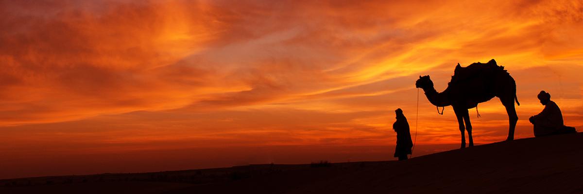 W_Alghosoon's profile banner image