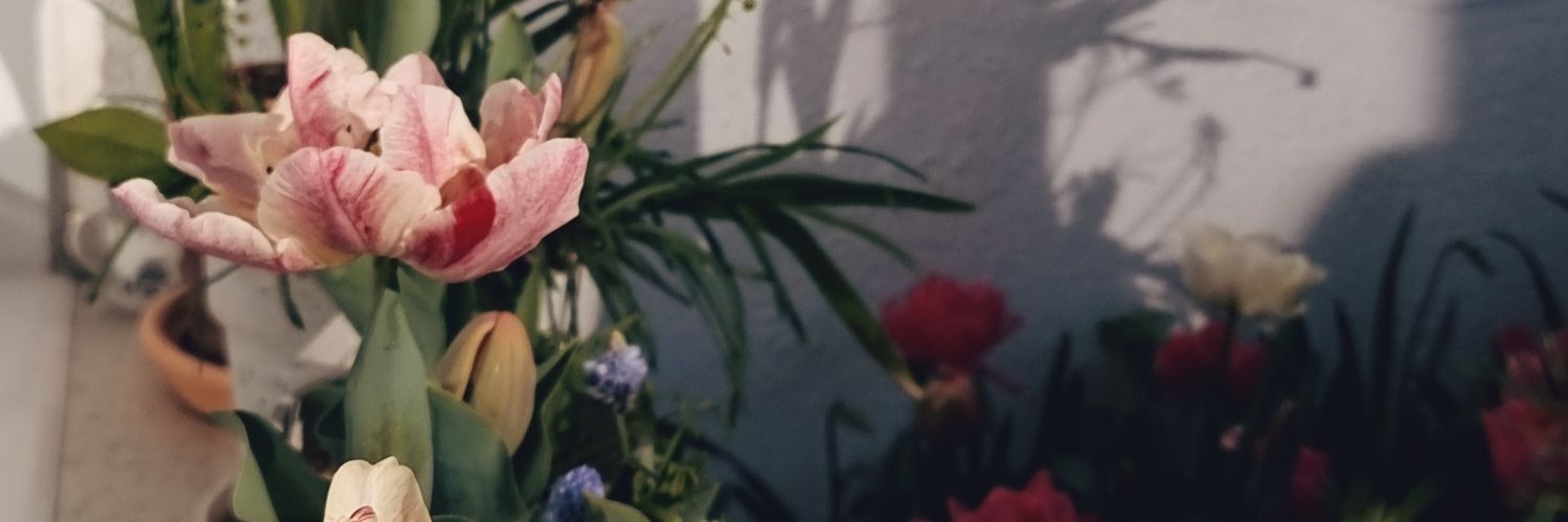 vanesa_pineiro's profile banner image