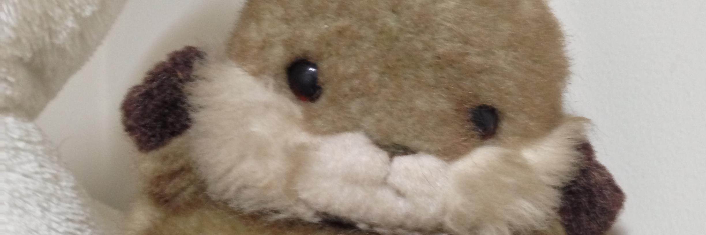 ぜろんぬ banner