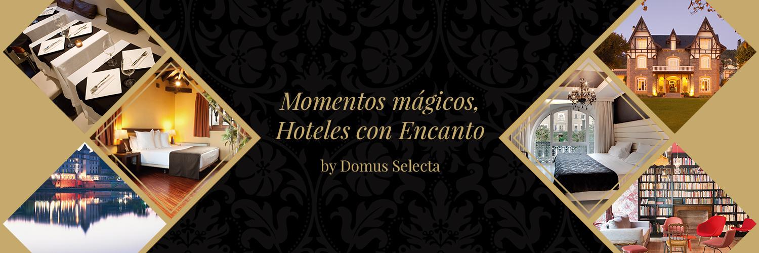 DomusSelecta's profile banner image