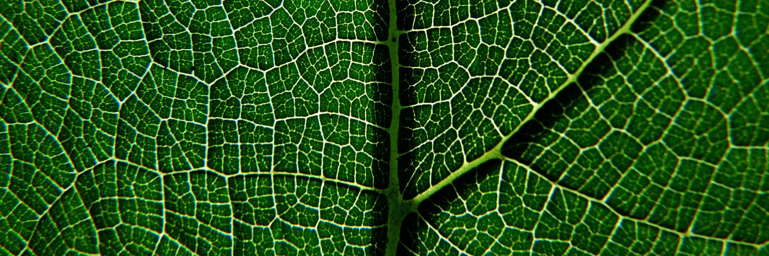 lindanagy93's profile banner image