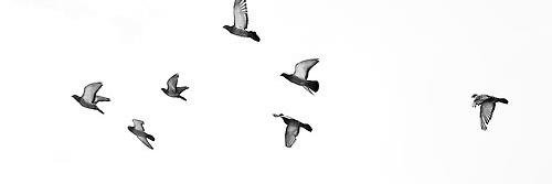 PatWil900's profile banner image