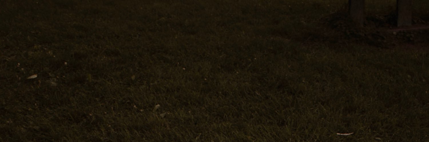 — banner