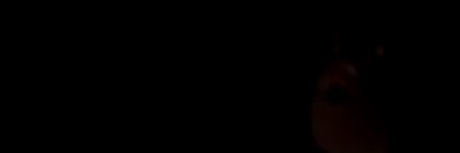 sdhfshdfhs1998's profile banner image