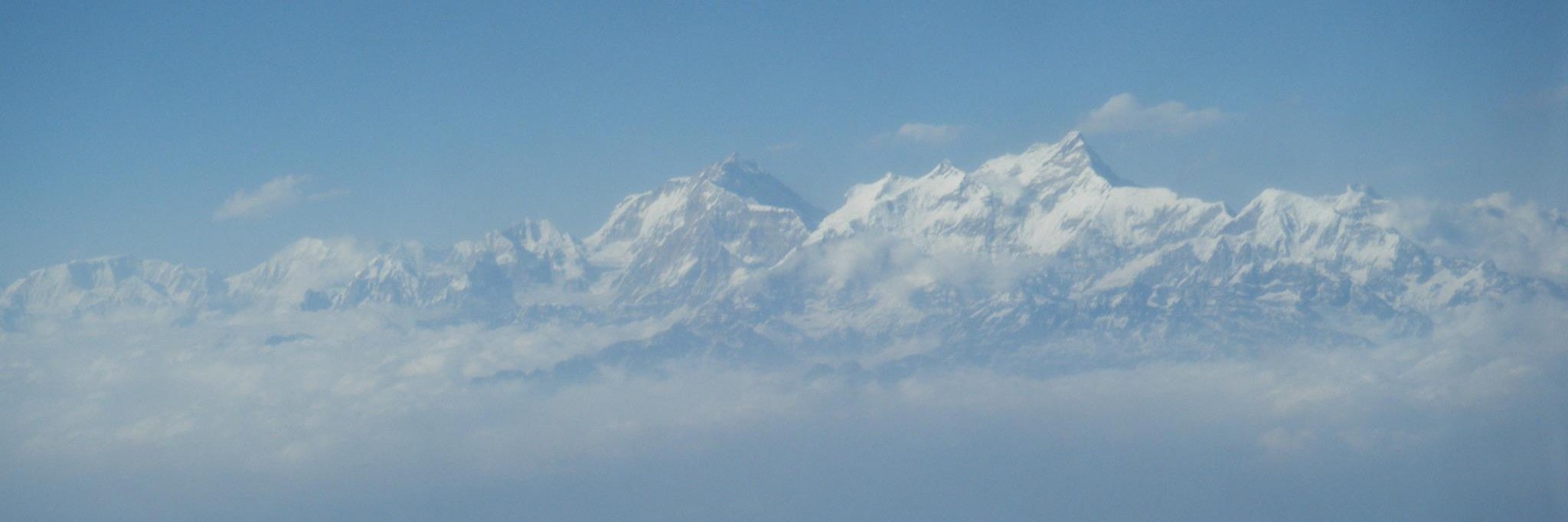 Fräulein 🌺🚲 || @blumenrad.bsky.social banner