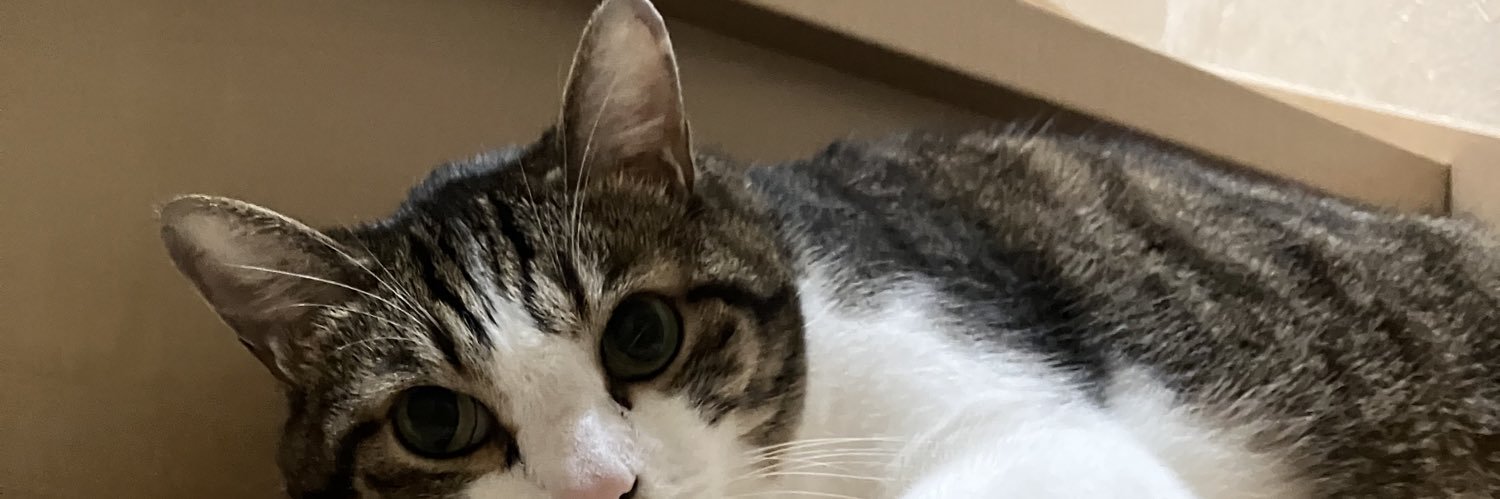 サイトウ マサトa.k.a. ミドリムシ校長 banner