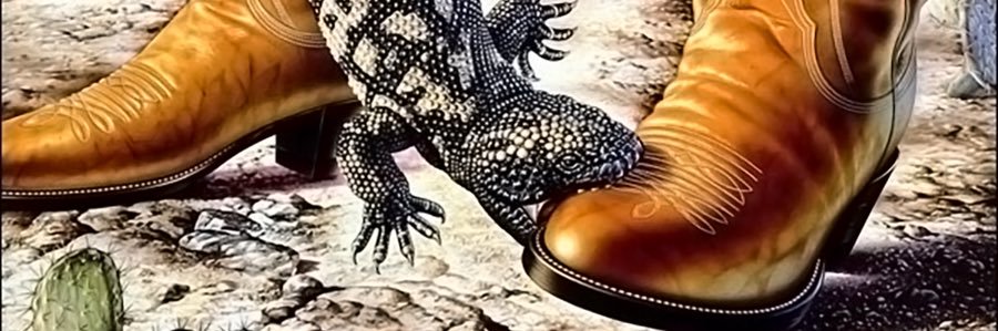 beauwalker's profile banner image