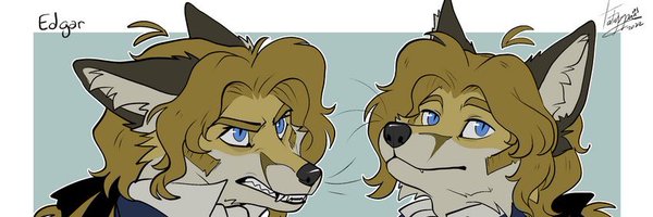 VL4D1L151T4 Profile Banner