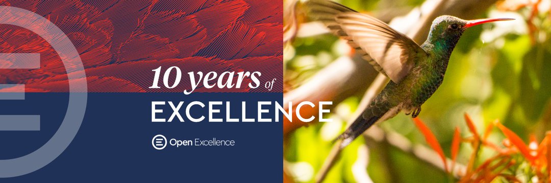 openexcellence's profile banner image