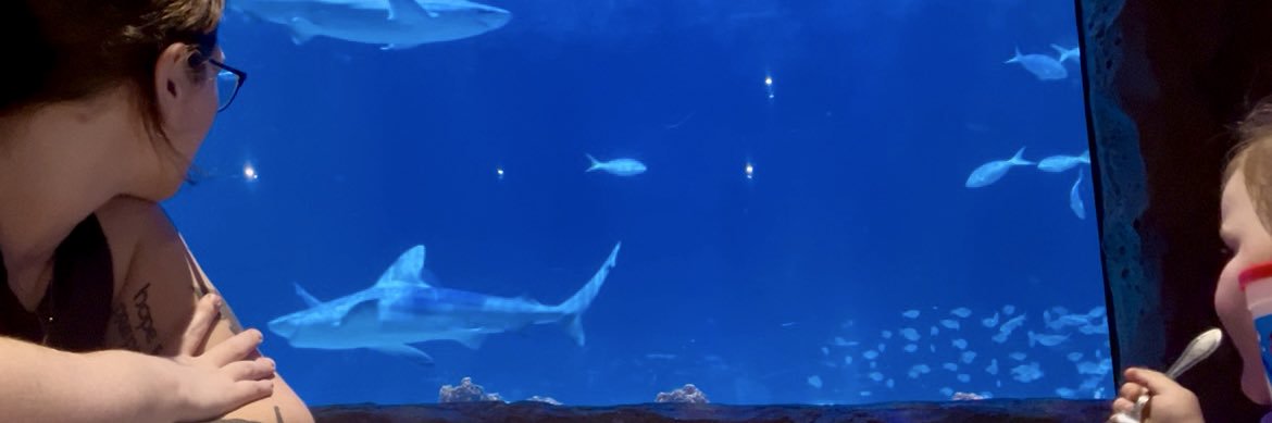 tracyrichelle's profile banner image