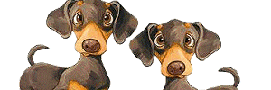 KplHenry's profile banner image