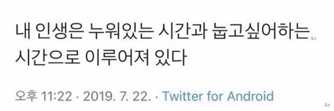 요구르트 banner