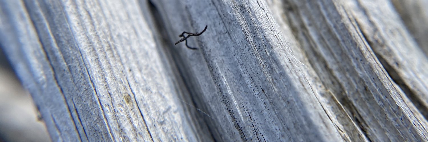 mattskopyk's profile banner image