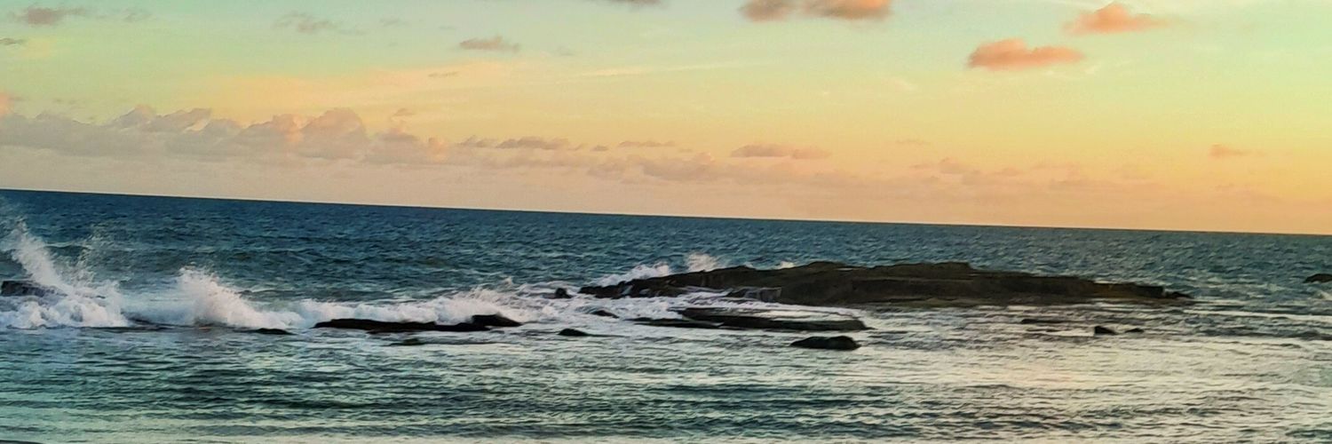 virgnminn's profile banner image