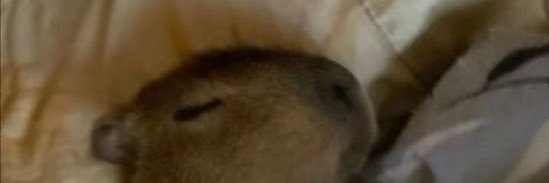 数字101500 banner