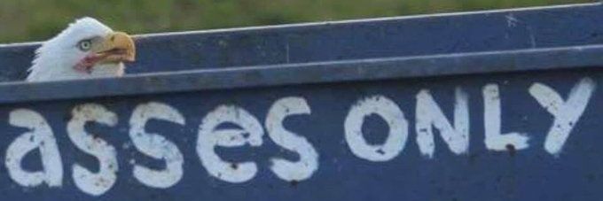 pr1ngles_hd's profile banner image