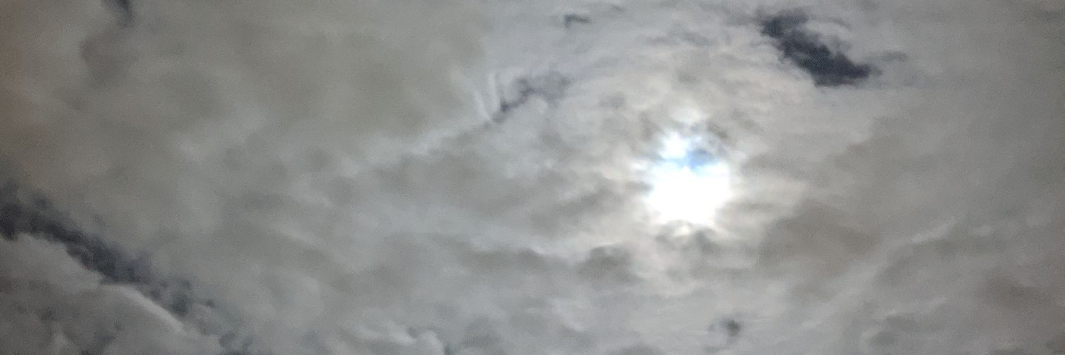 ridgebuecking's profile banner image