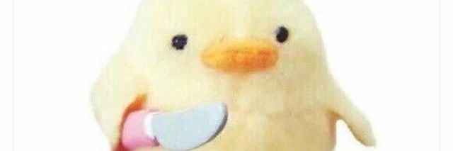 duck_tard's profile banner image
