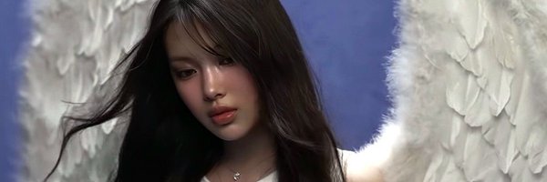 hyeinvault Profile Banner