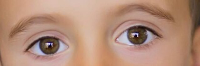 pilargregorimon's profile banner image