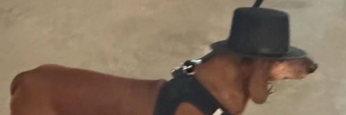 vinniciusc_'s profile banner image