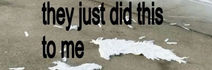 meow banner
