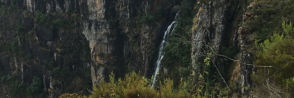 ygarwe's profile banner image