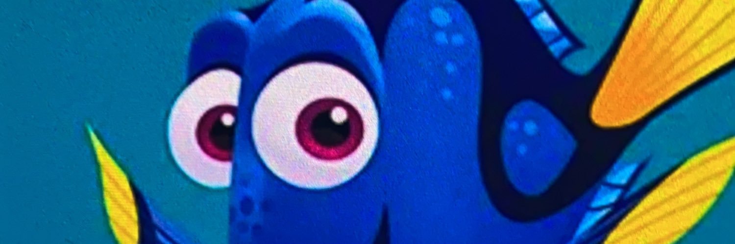 pri banner