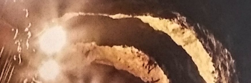 polriwatch's profile banner image