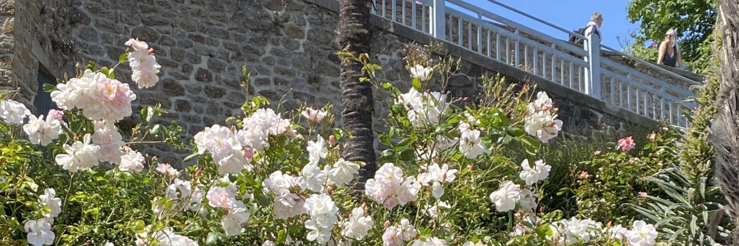 cam_hlll's profile banner image