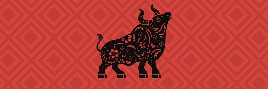 olliolliox banner