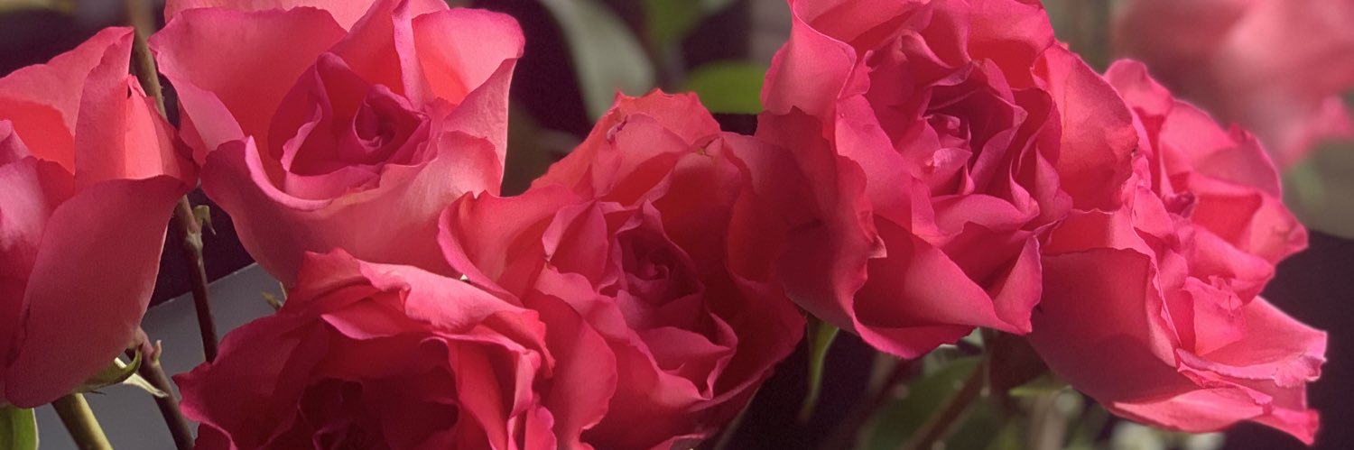 abbeystaubin's profile banner image