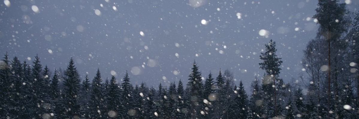 lustyjunkie's profile banner image