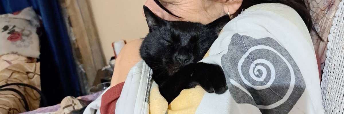 spicbic's profile banner image