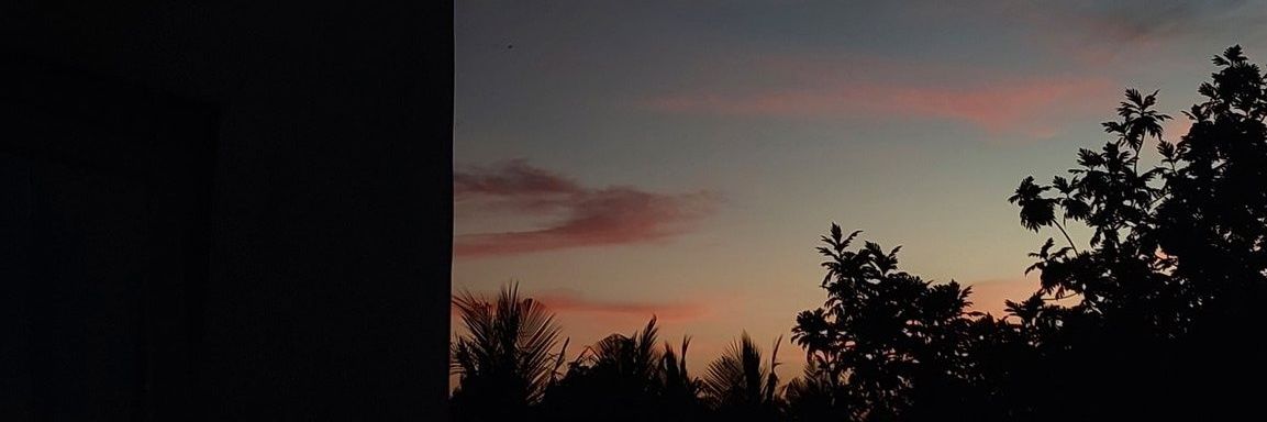 Tri ヾ( ˃ᴗ˂ )◞ • *✰ banner