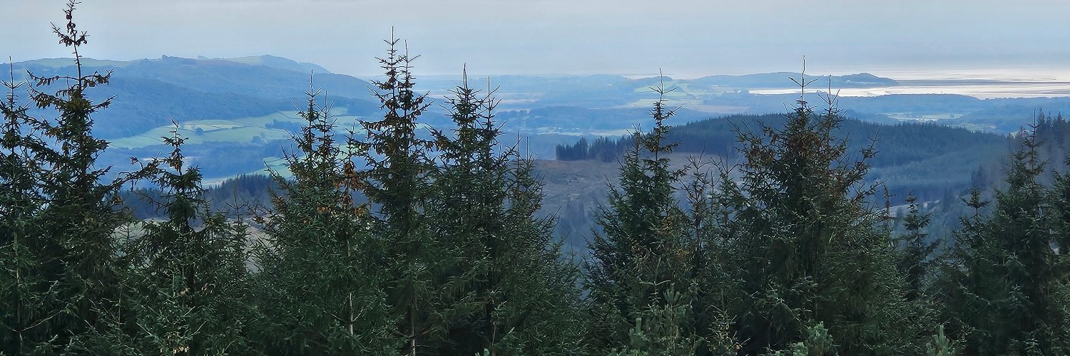 Dylan Primrose banner