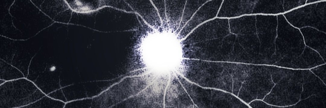 joefulton67's profile banner image