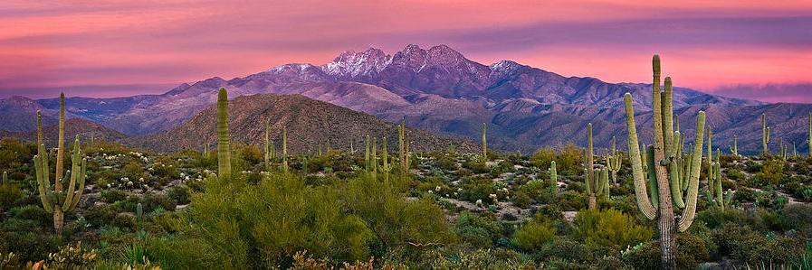 American_Nature's profile banner image