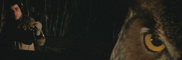 NBaisez's profile banner image