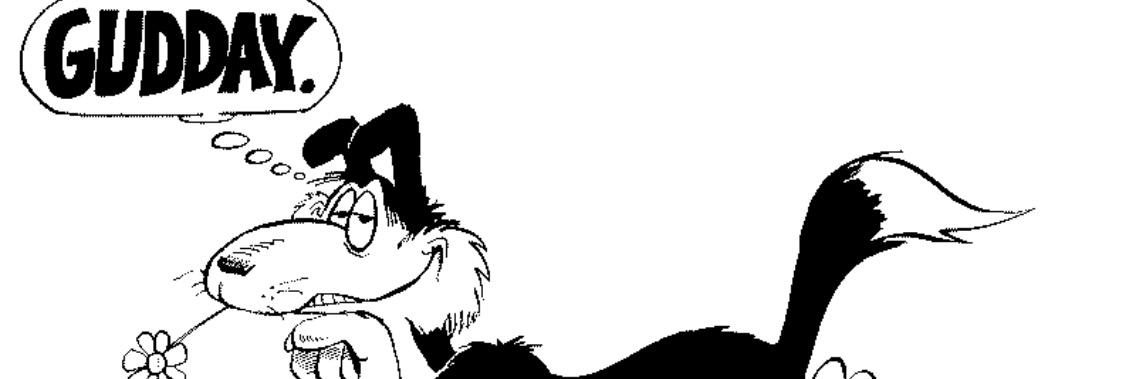 CFace's profile banner image