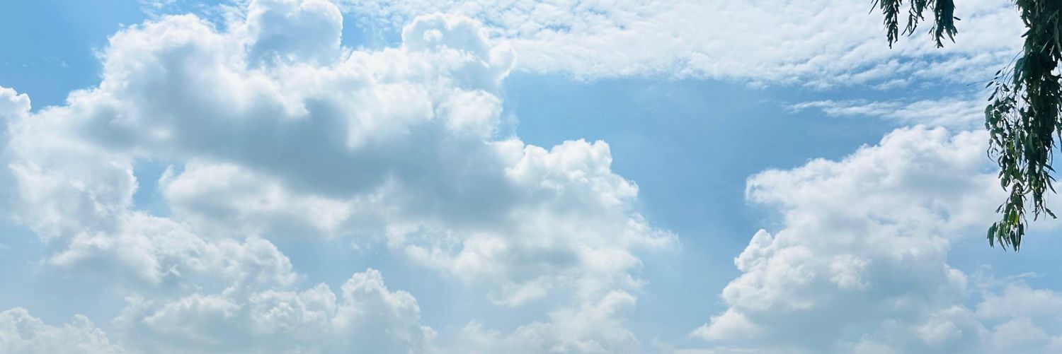 🎀 banner